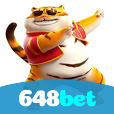 Segurança no 648bet