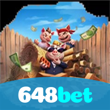 Problemas de Login no 648bet